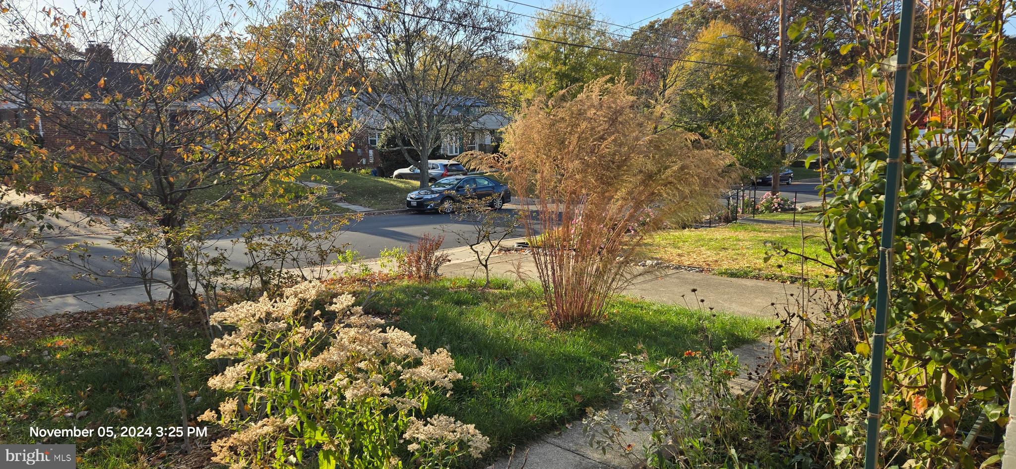 TAKOMA PARK - Residential