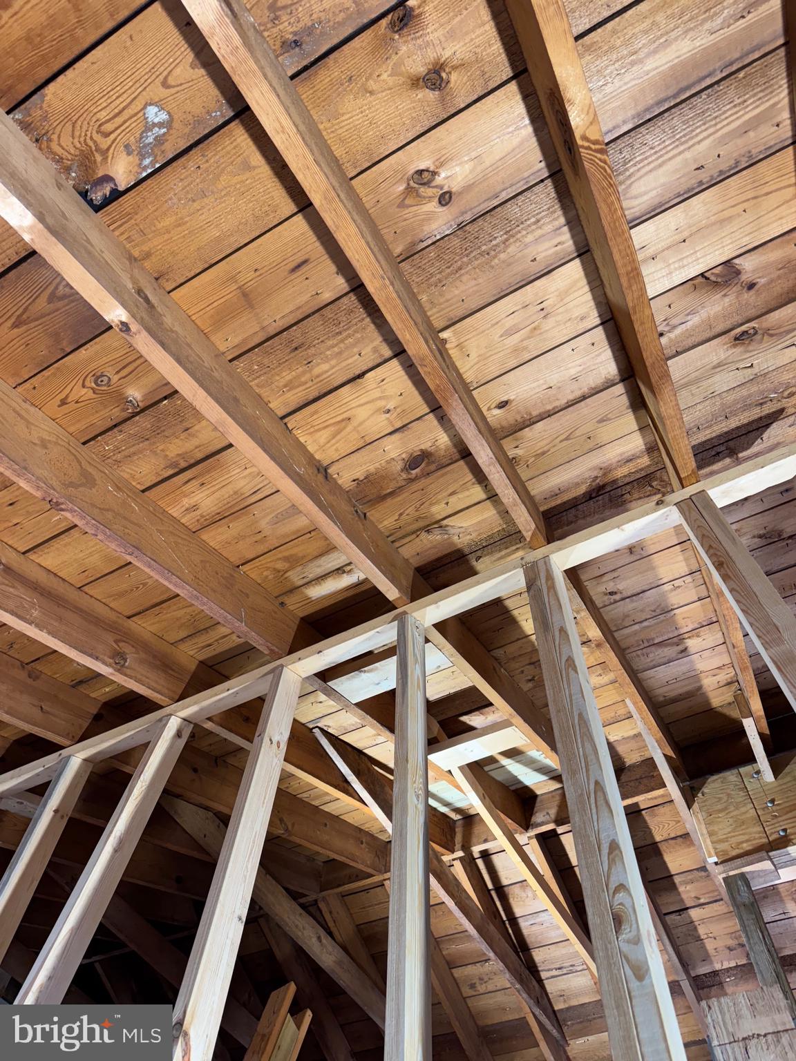 TAKOMA PARK - Residential