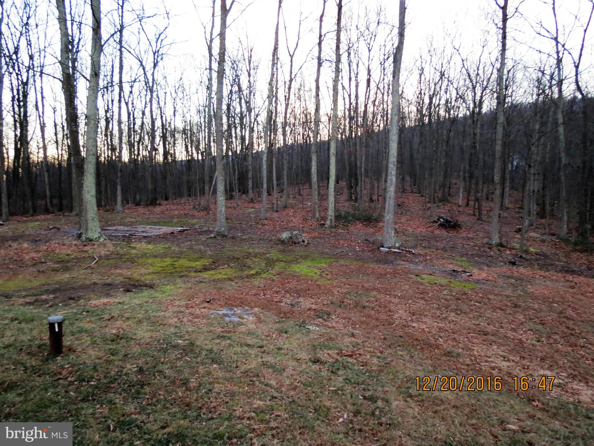 AVALON - Residential