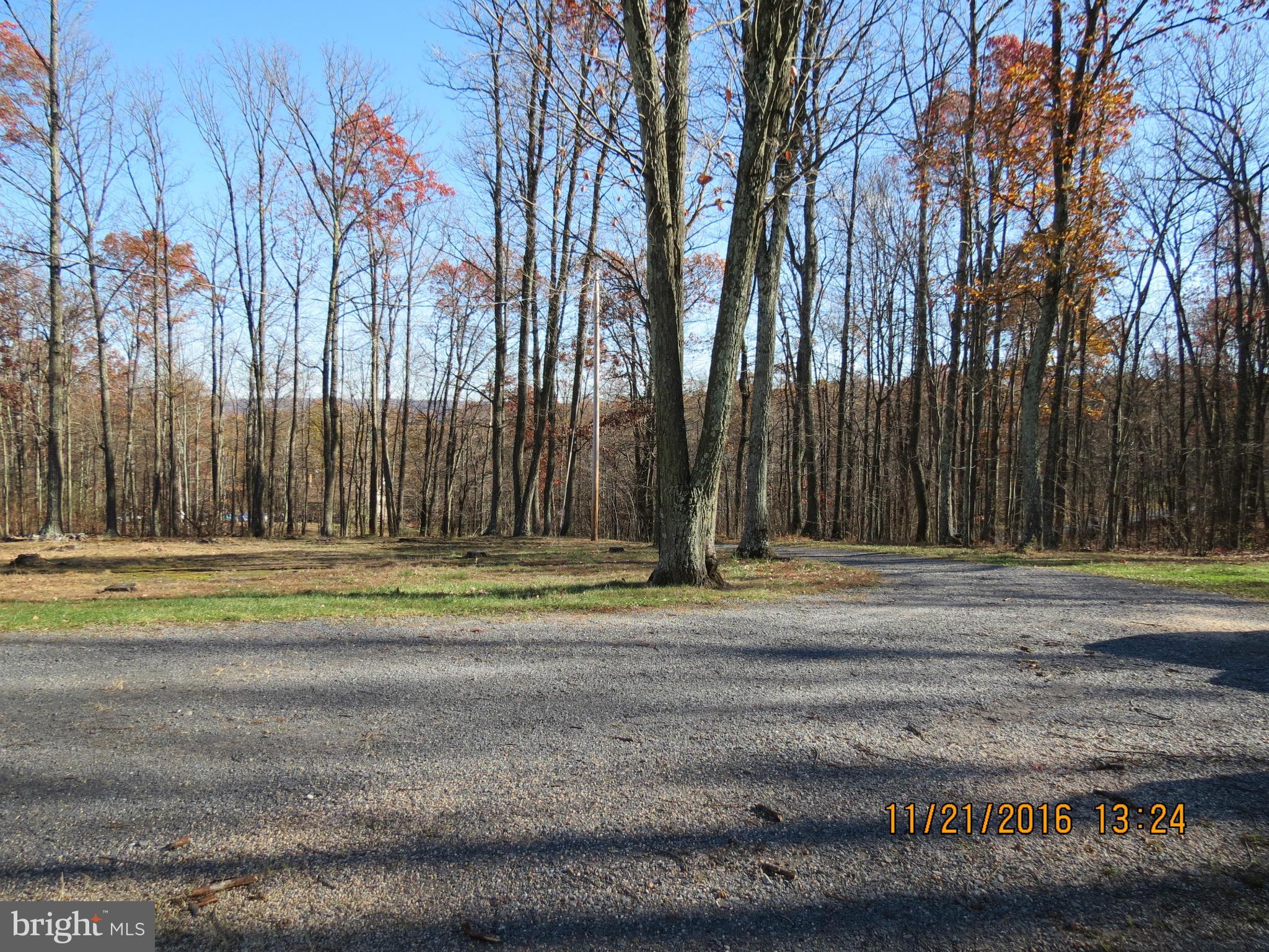 AVALON - Residential