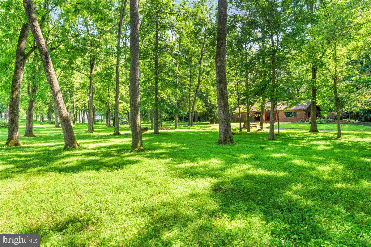 118 SHADE TREE LANE