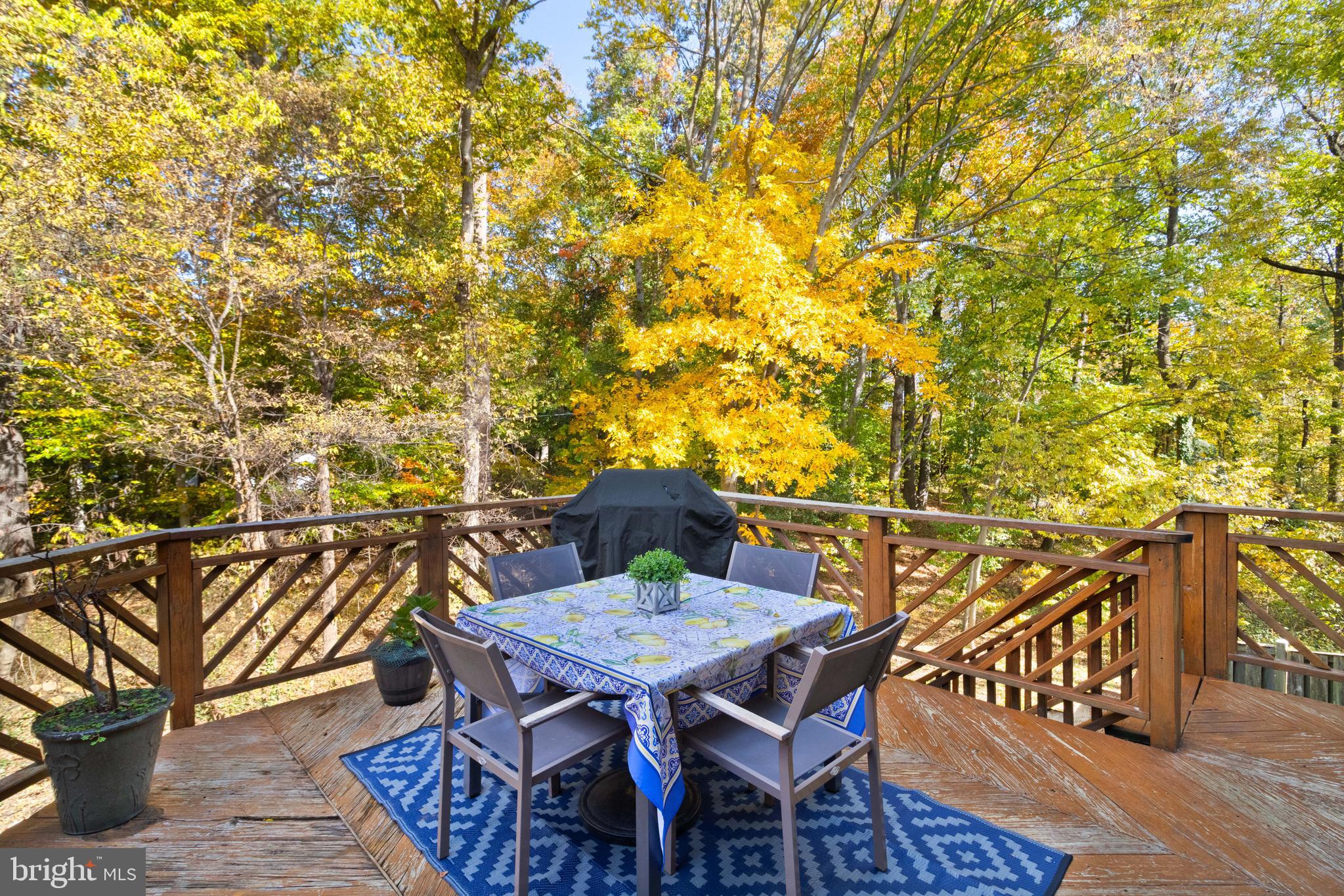 SPRINGFIELD OAKS - Residential