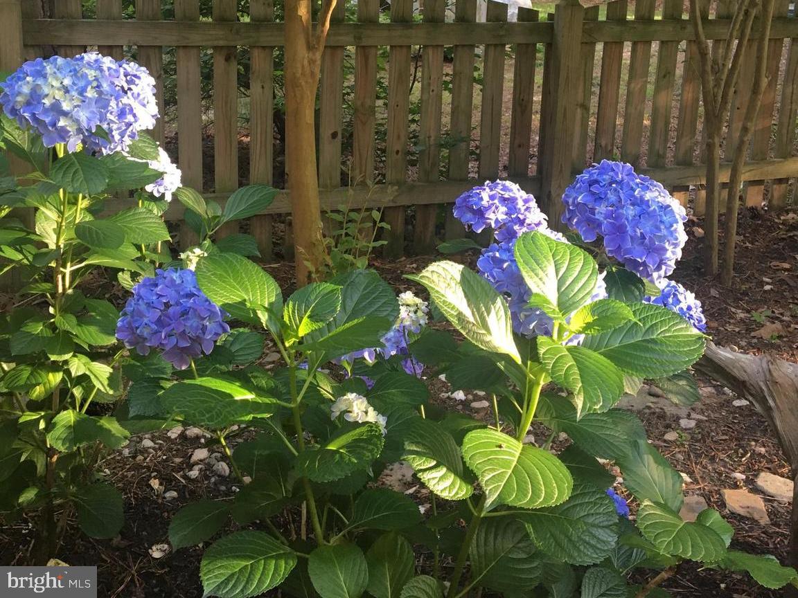 LAKE CAROLINE - Residential