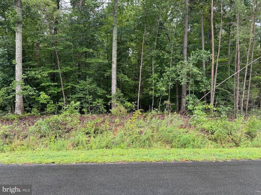 Very nice lot in beautiful Wyndemere Subdivision.  Multiple Common Areas, well maintained community.  The community has many wonderful amenities for your family to enjoy, basketball/tennis courts, boat ramp, picnic areas, boat slips for lease and so much more!  Plat and Soil Report to be uploaded soon.