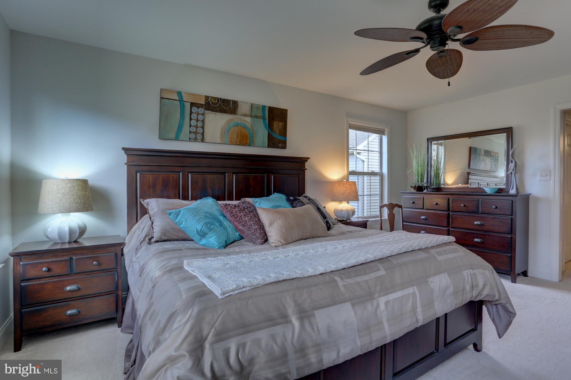 ELM TREE - Residential