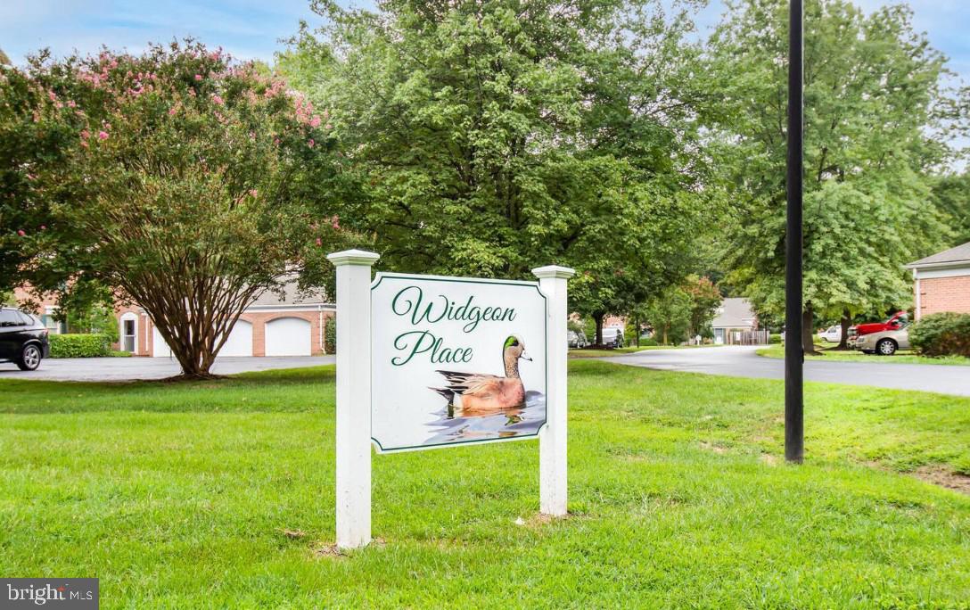 24362 WIDGEON 4