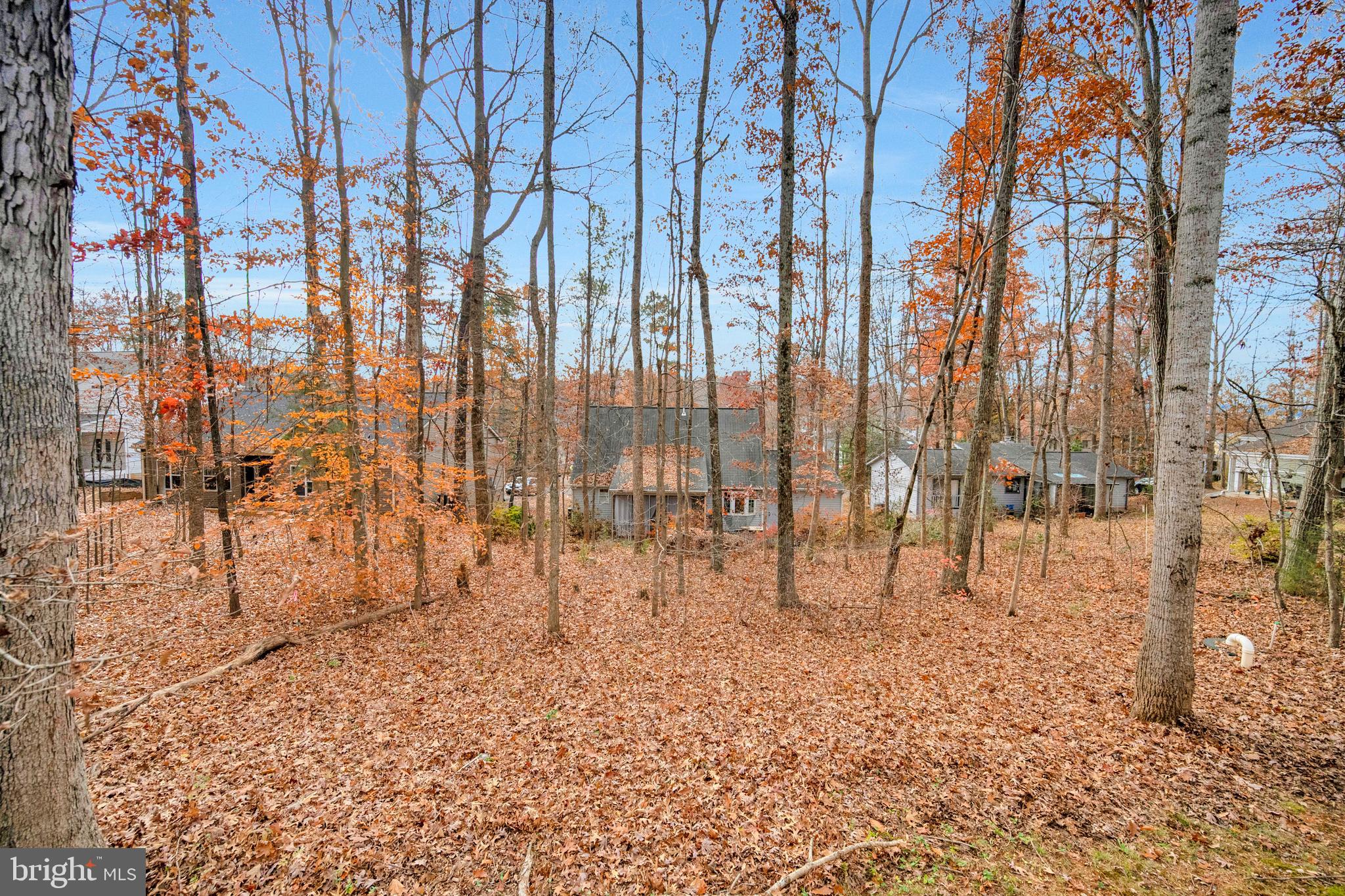 LAKE OF THE WOODS - Residential