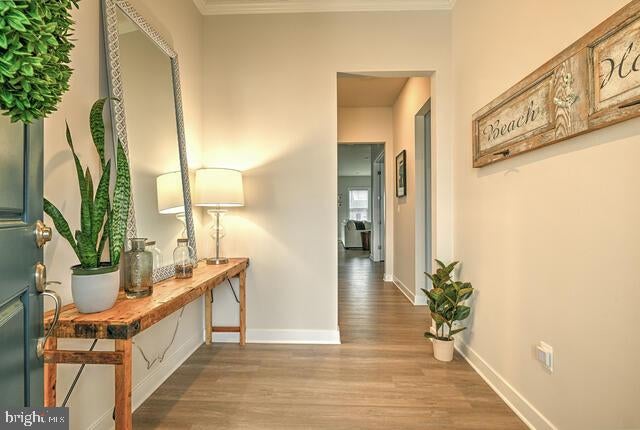 33910 BRIDGET LANE