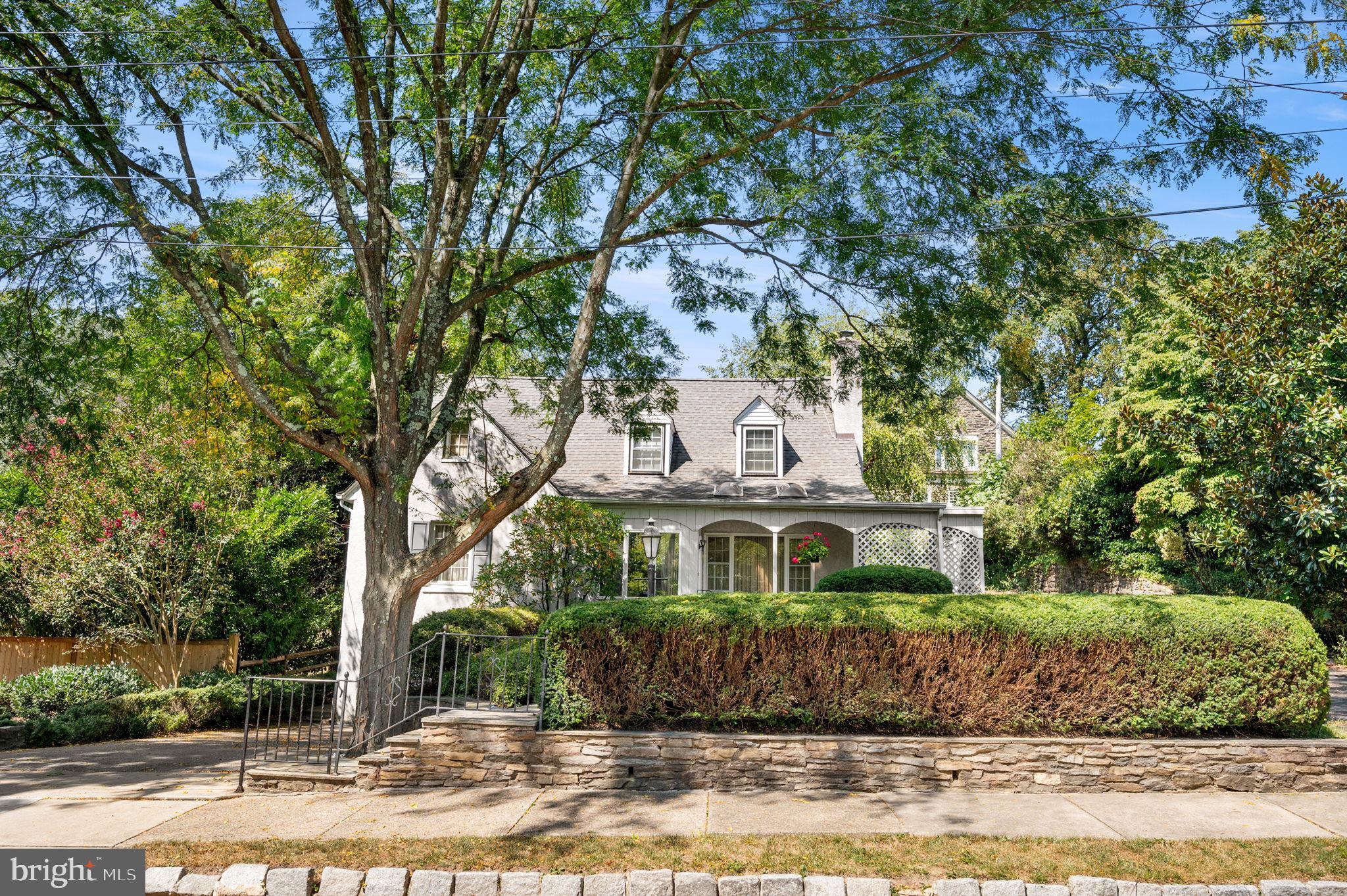 CHESTNUT HILL - Residential