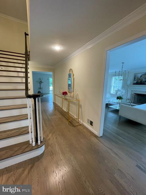 BALLANTRAE FARMS - Residential Lease