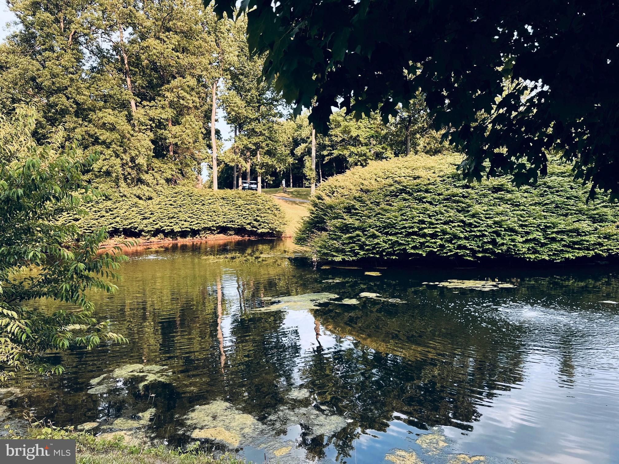 LEISURE WORLD - Residential