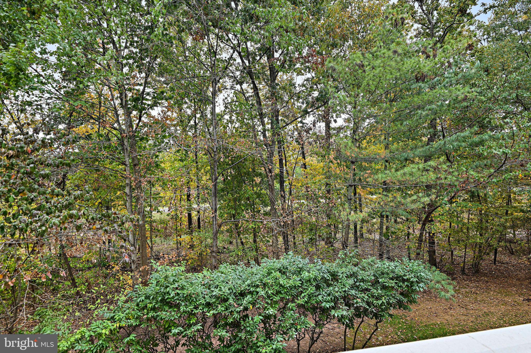 RIDGES AT BELMONT - Residential