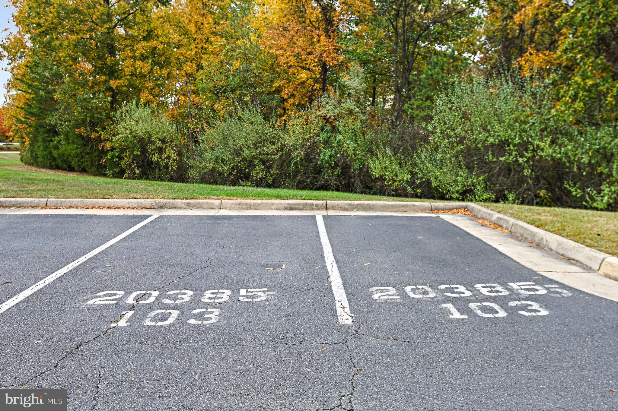 RIDGES AT BELMONT - Residential