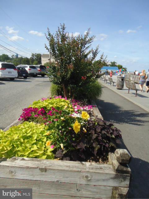 BURNT OAKS - Residential