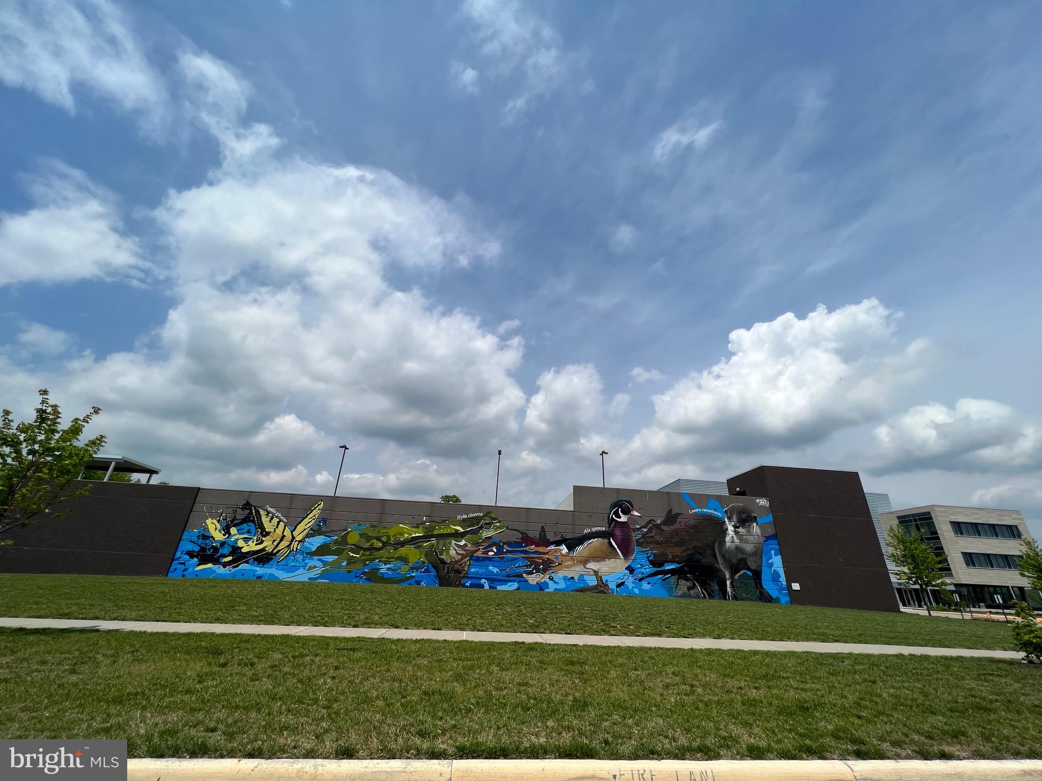 BELMONT TOWN CENTER - Residential Lease