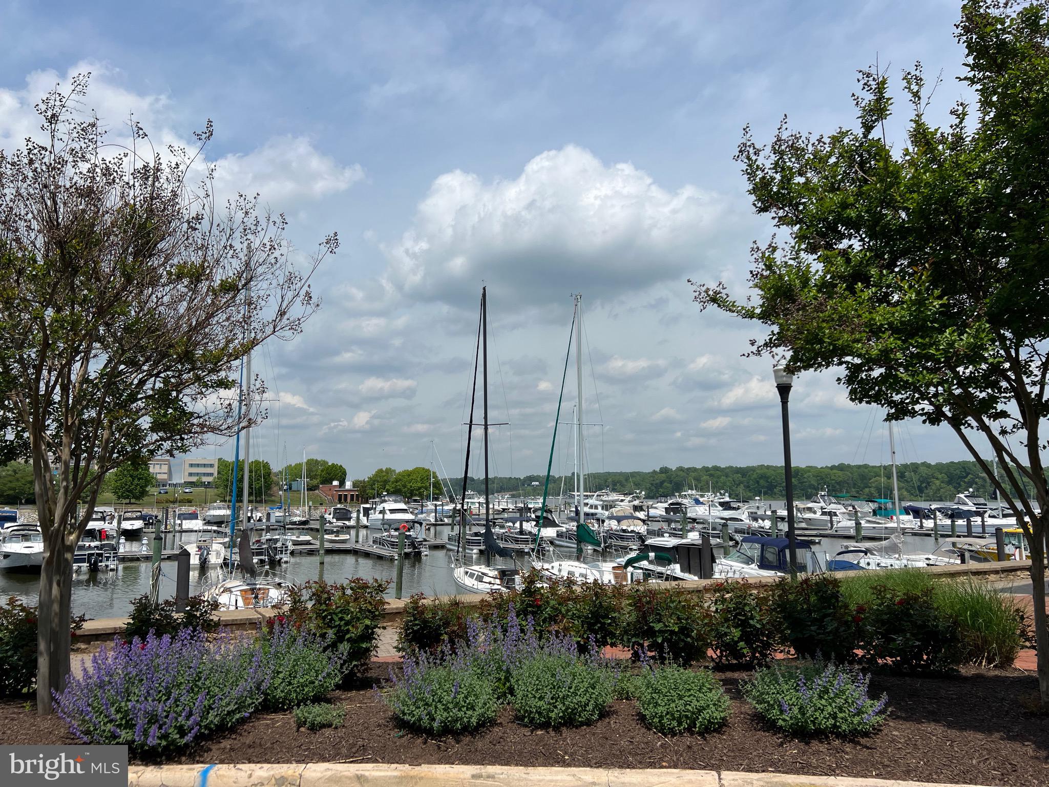 BELMONT TOWN CENTER - Residential Lease