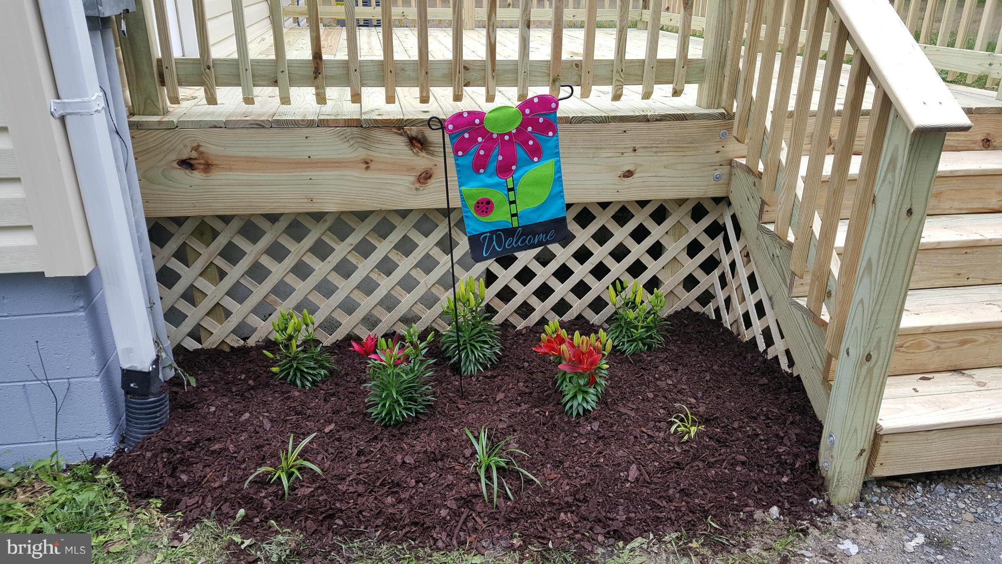 SHEARWOOD - Residential