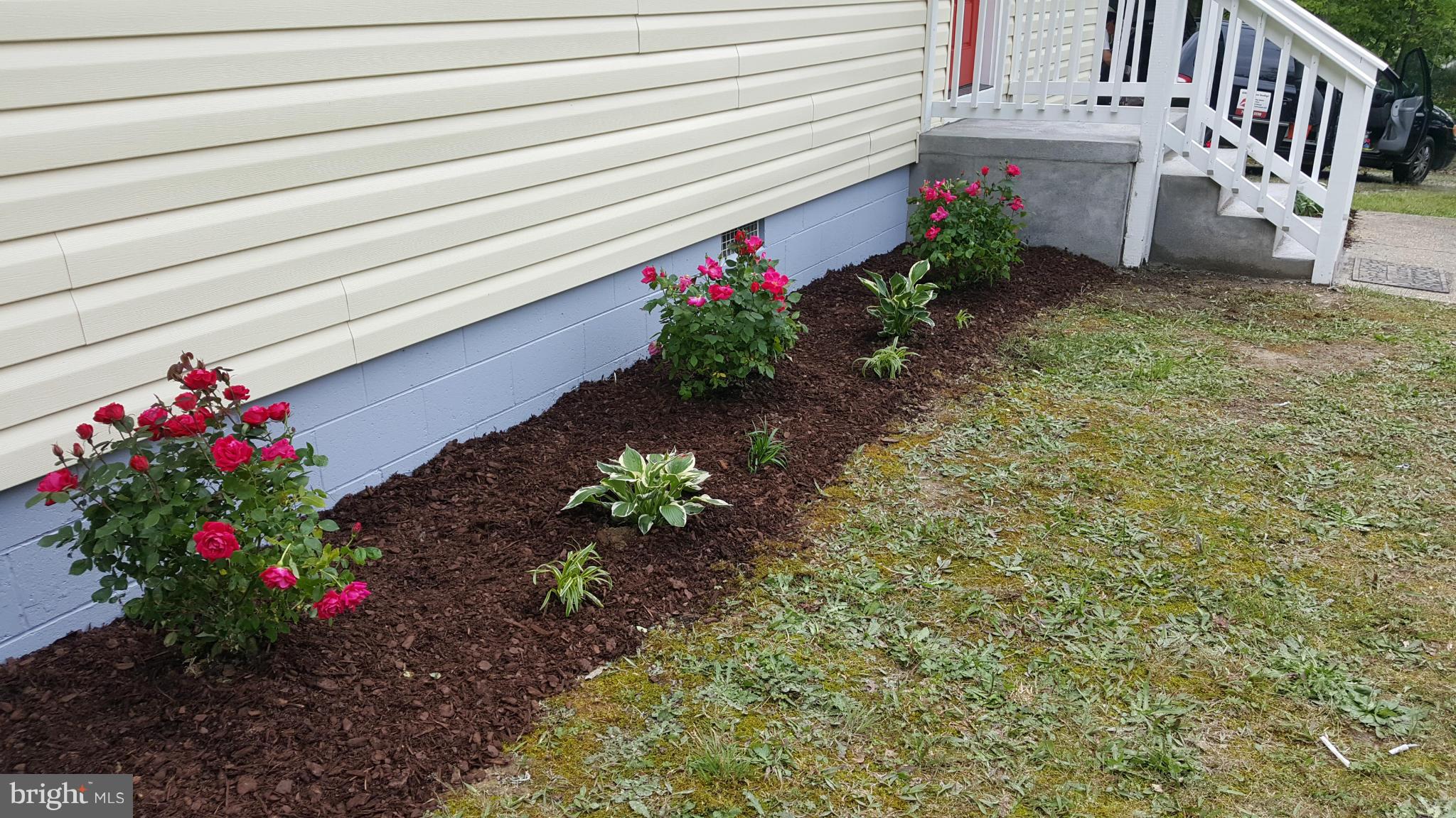 SHEARWOOD - Residential