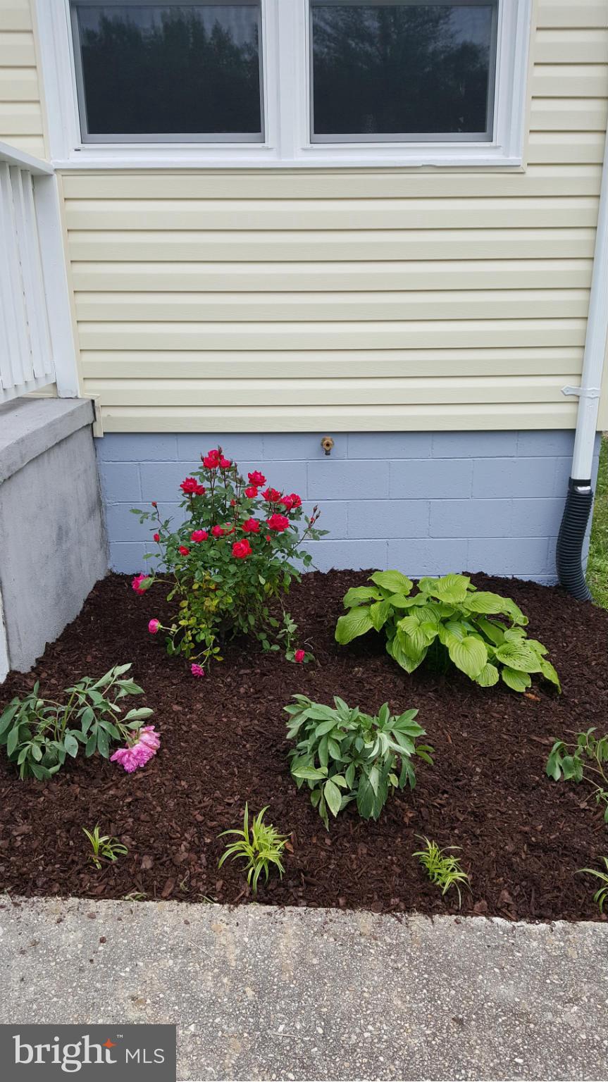 SHEARWOOD - Residential