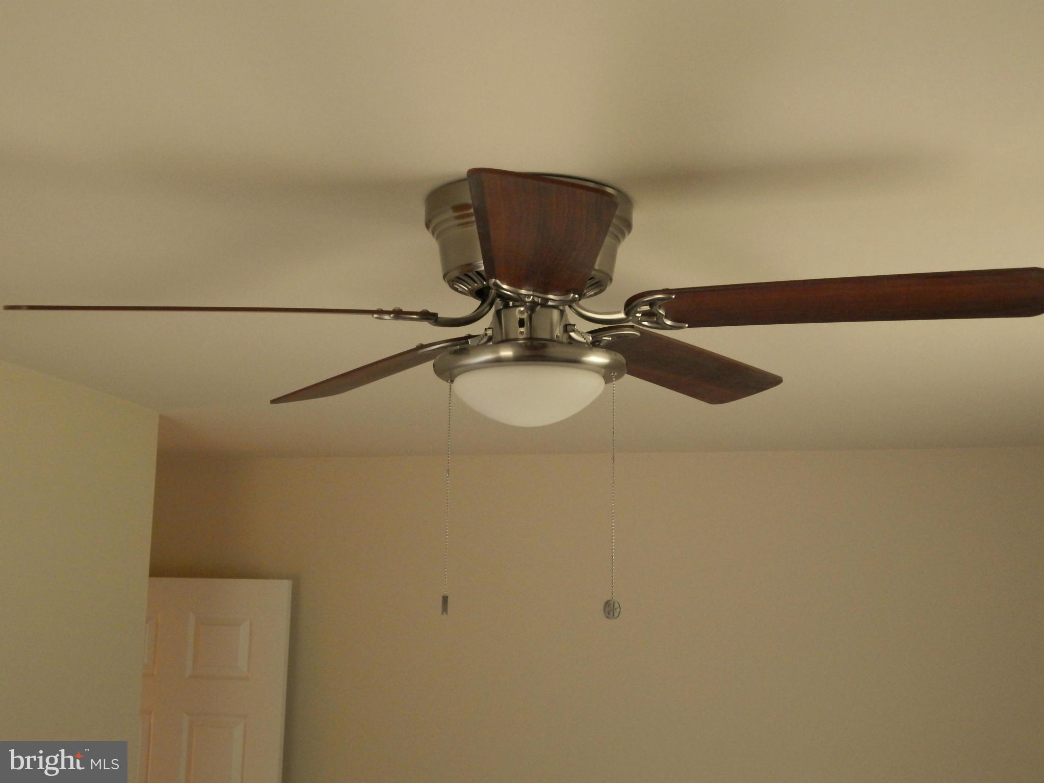 SHEARWOOD - Residential