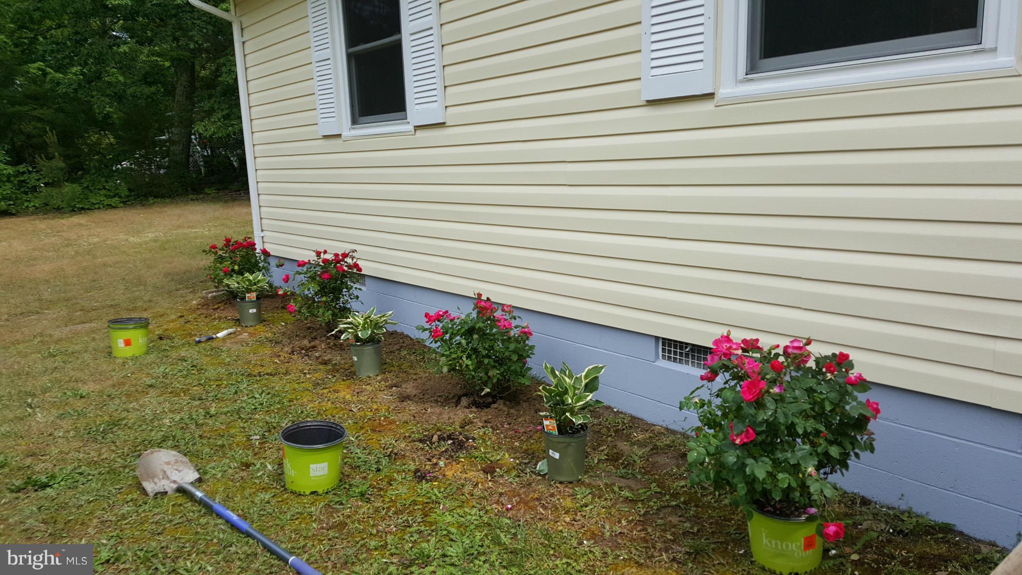 SHEARWOOD - Residential