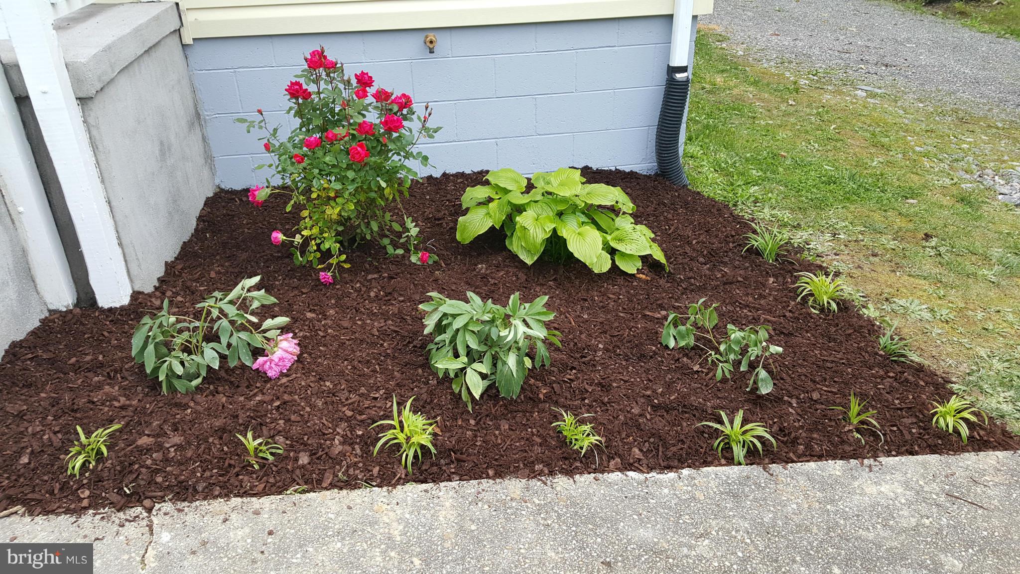 SHEARWOOD - Residential