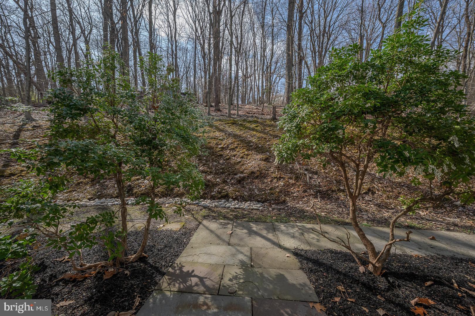 GULPH MILLS VIL - Residential