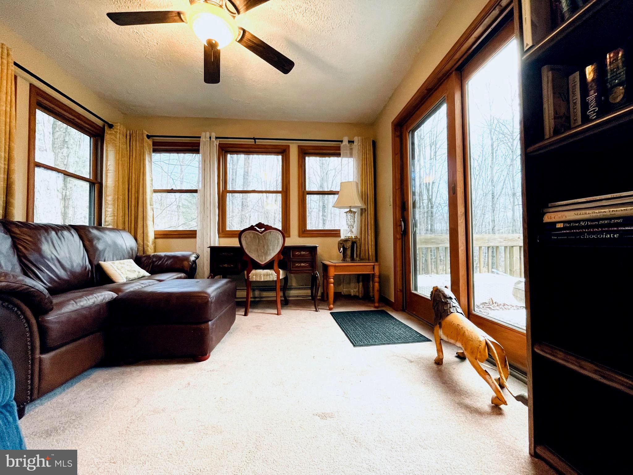 19 LIVINGSTON LANE
