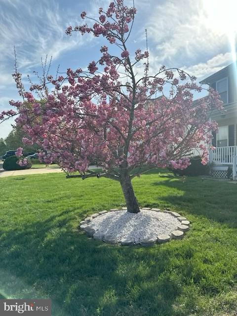 MEADOW LAKE - Residential