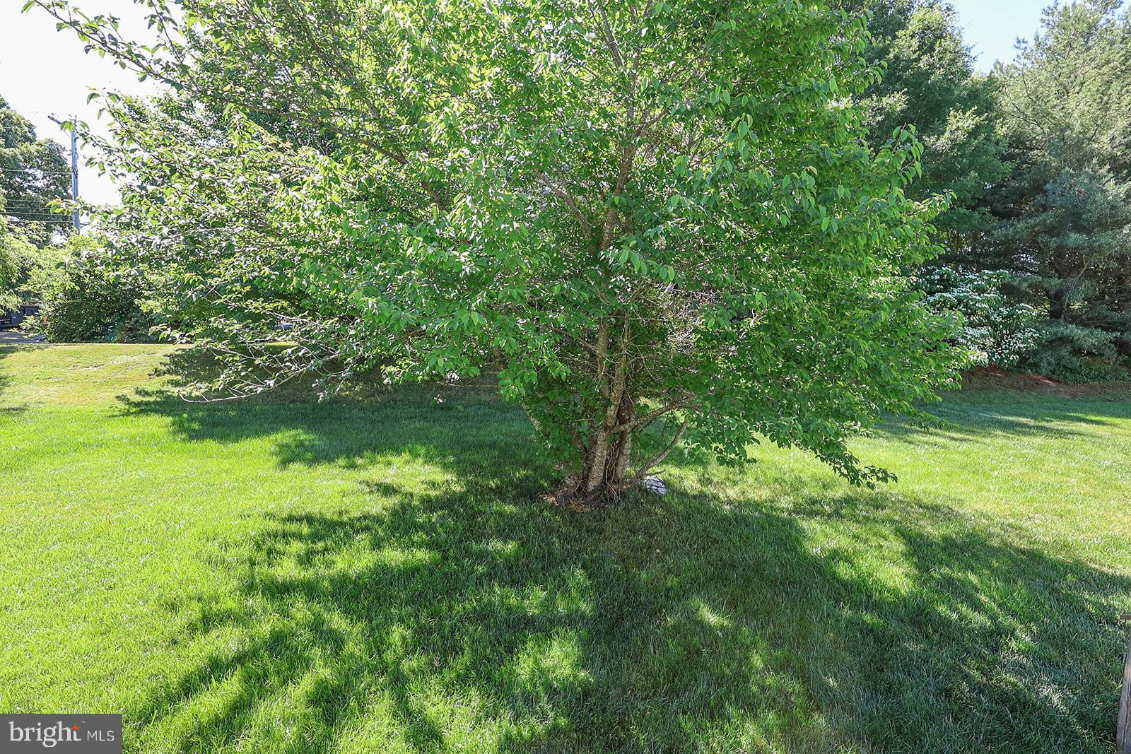 MEADOW LAKE - Residential