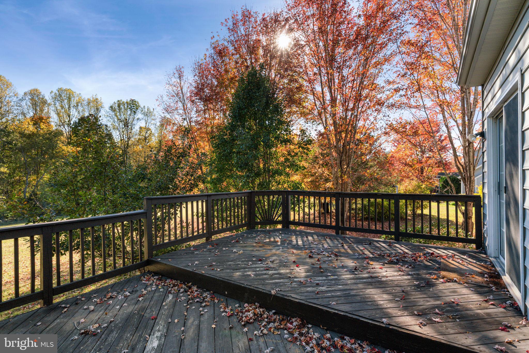 FOX CHASE - Residential