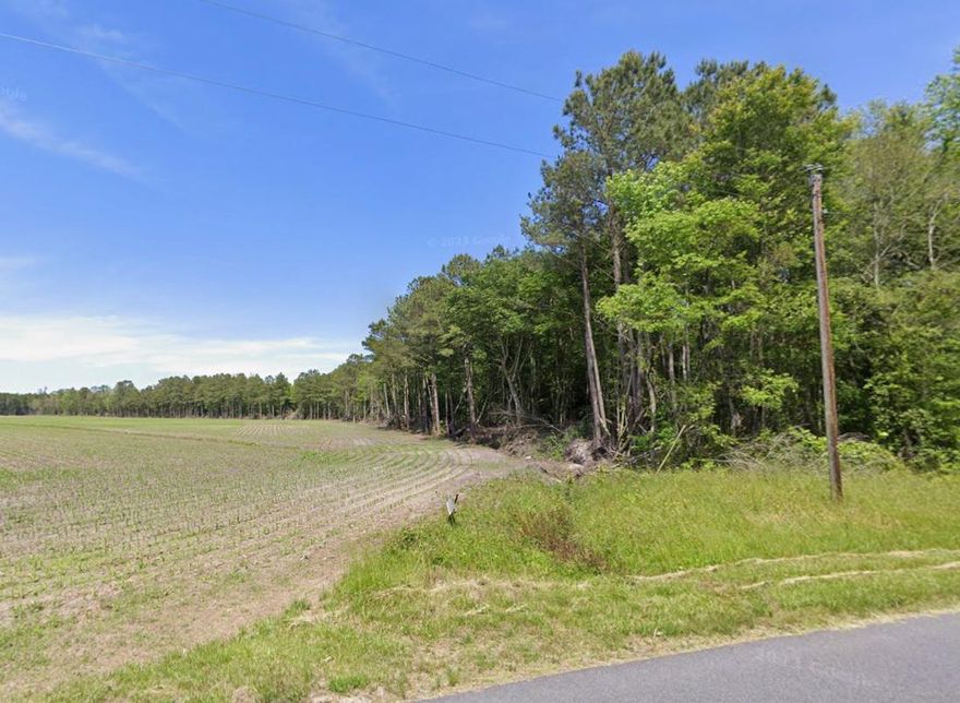 This 24.06 +/-acre timber tract offers a practical mix of recreation, privacy, and build potential. The property is made up of well-established timber and provides solid habitat for whitetail deer and turkey, making it a good fit for hunting or general outdoor use.

The soils are well-drained and suitable for a perc test, giving you the option to build a home or cabin. Whether you’re planning a weekend retreat or a more permanent setup, the land supports a range of uses.

Located in the middle of thousands of acres of state, private, and conserved timberland, this property offers a high level of seclusion and limited nearby development. It’s a strong option for buyers looking for a quiet, recreational property with future building potential.