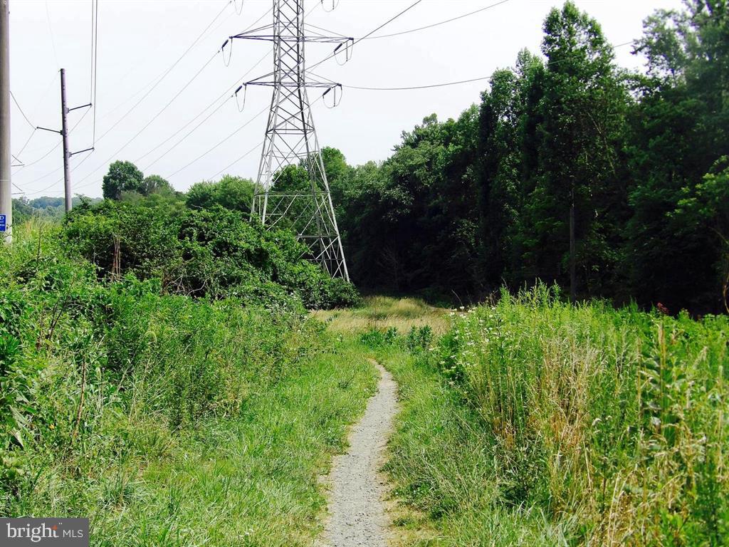 WOLF TRAP WOODS - Residential