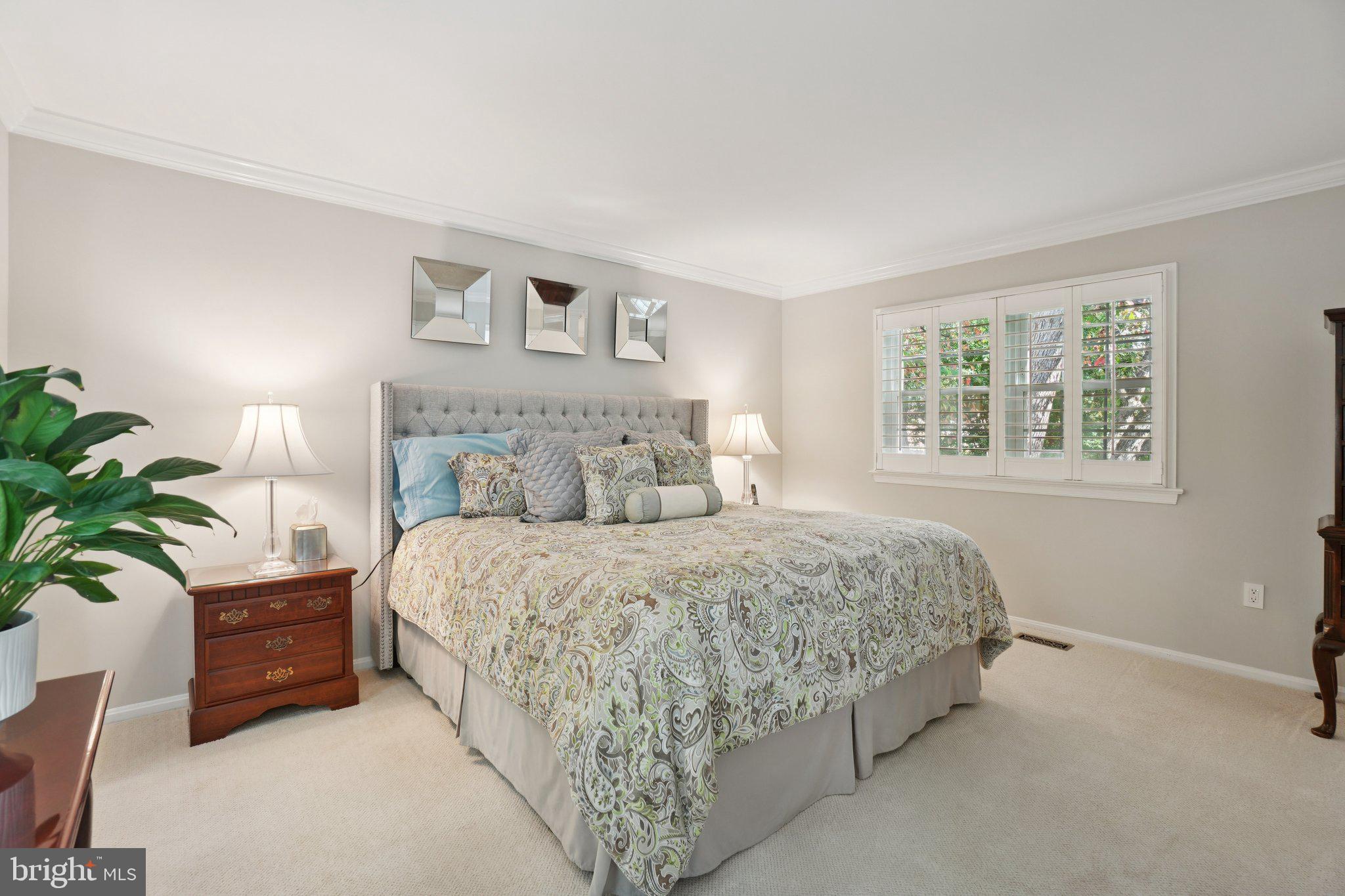 WOLF TRAP WOODS - Residential