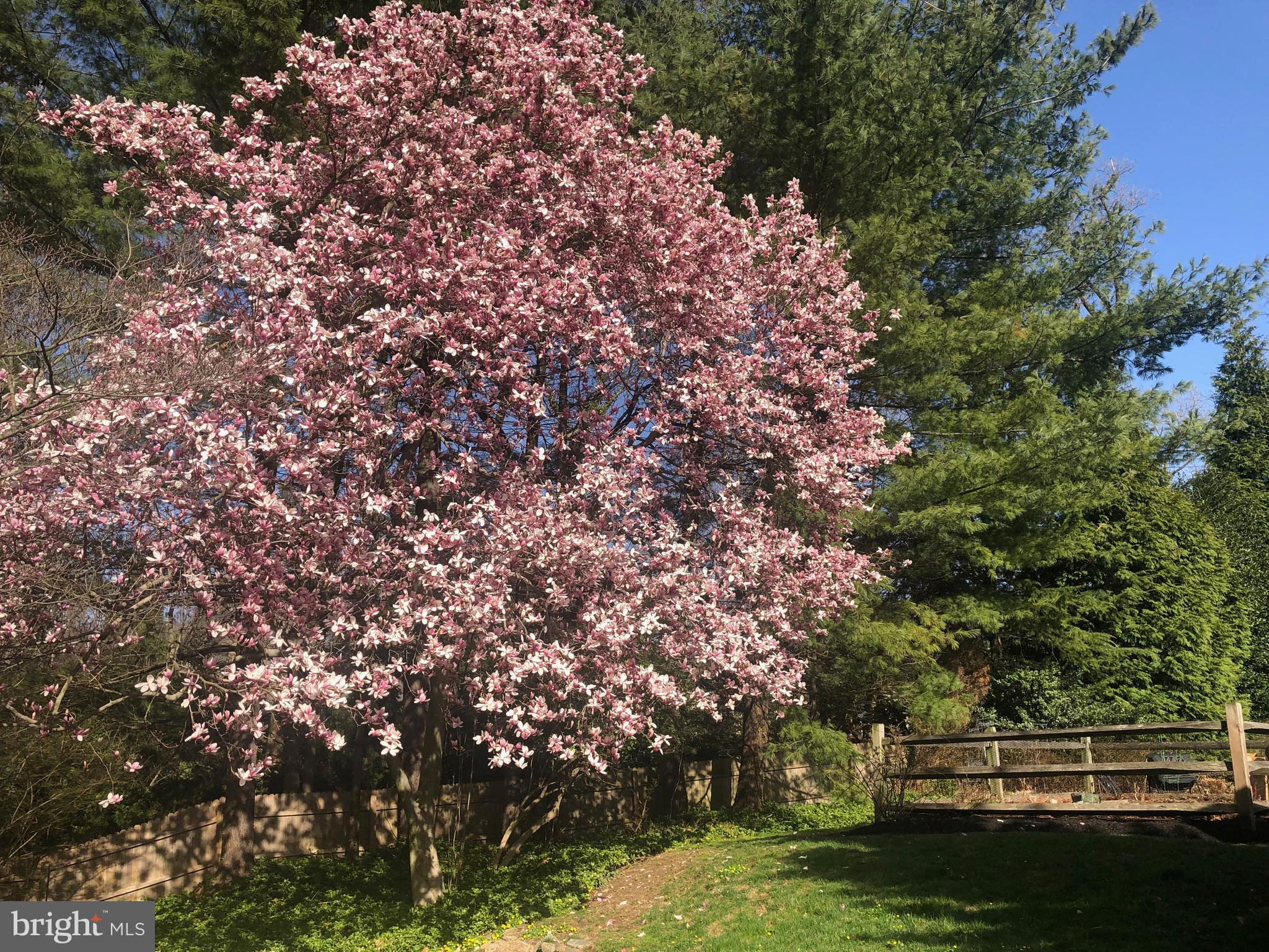 NARBERTH - Residential