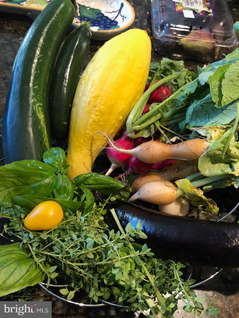 NARBERTH - Residential