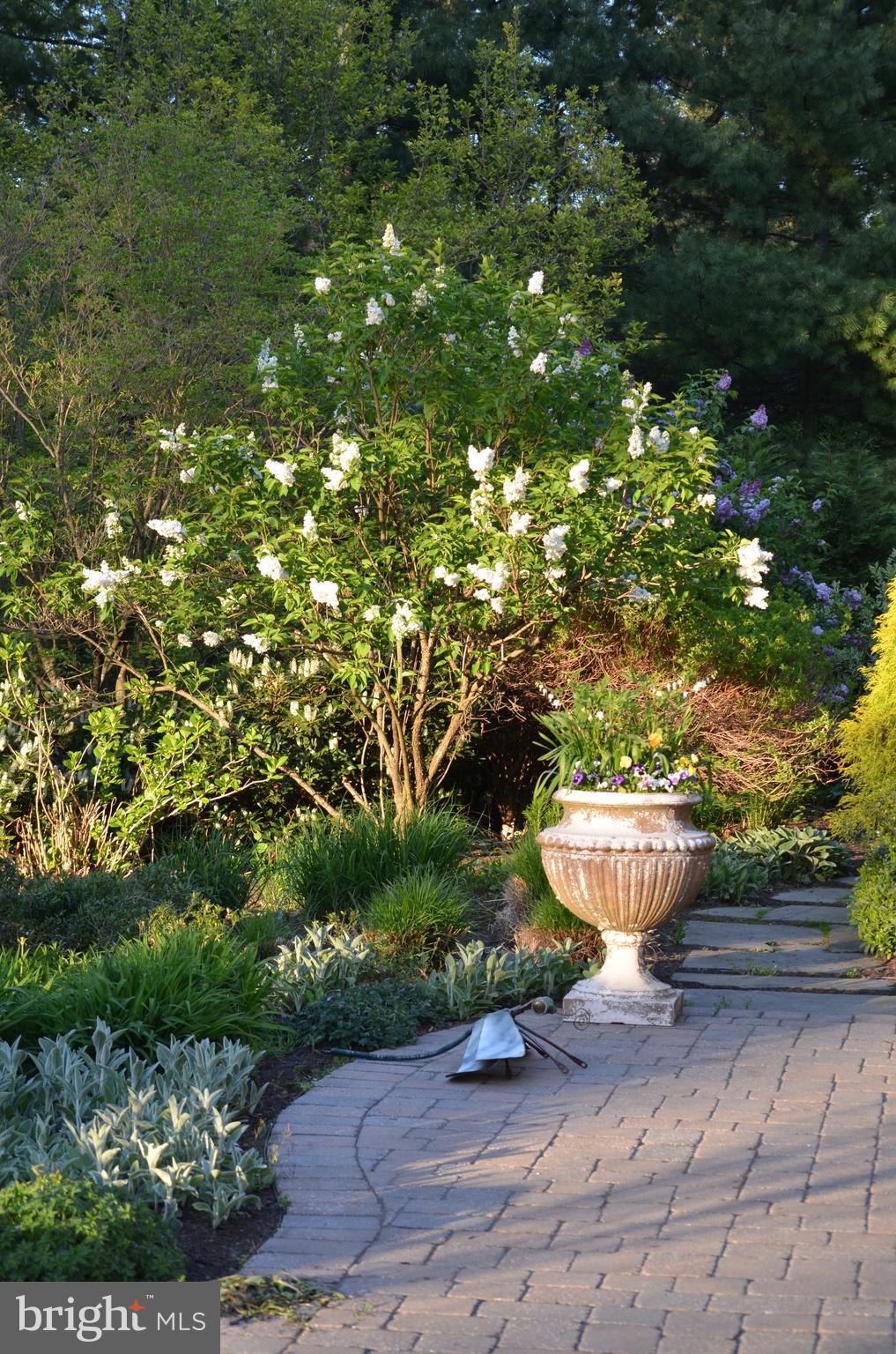 NARBERTH - Residential