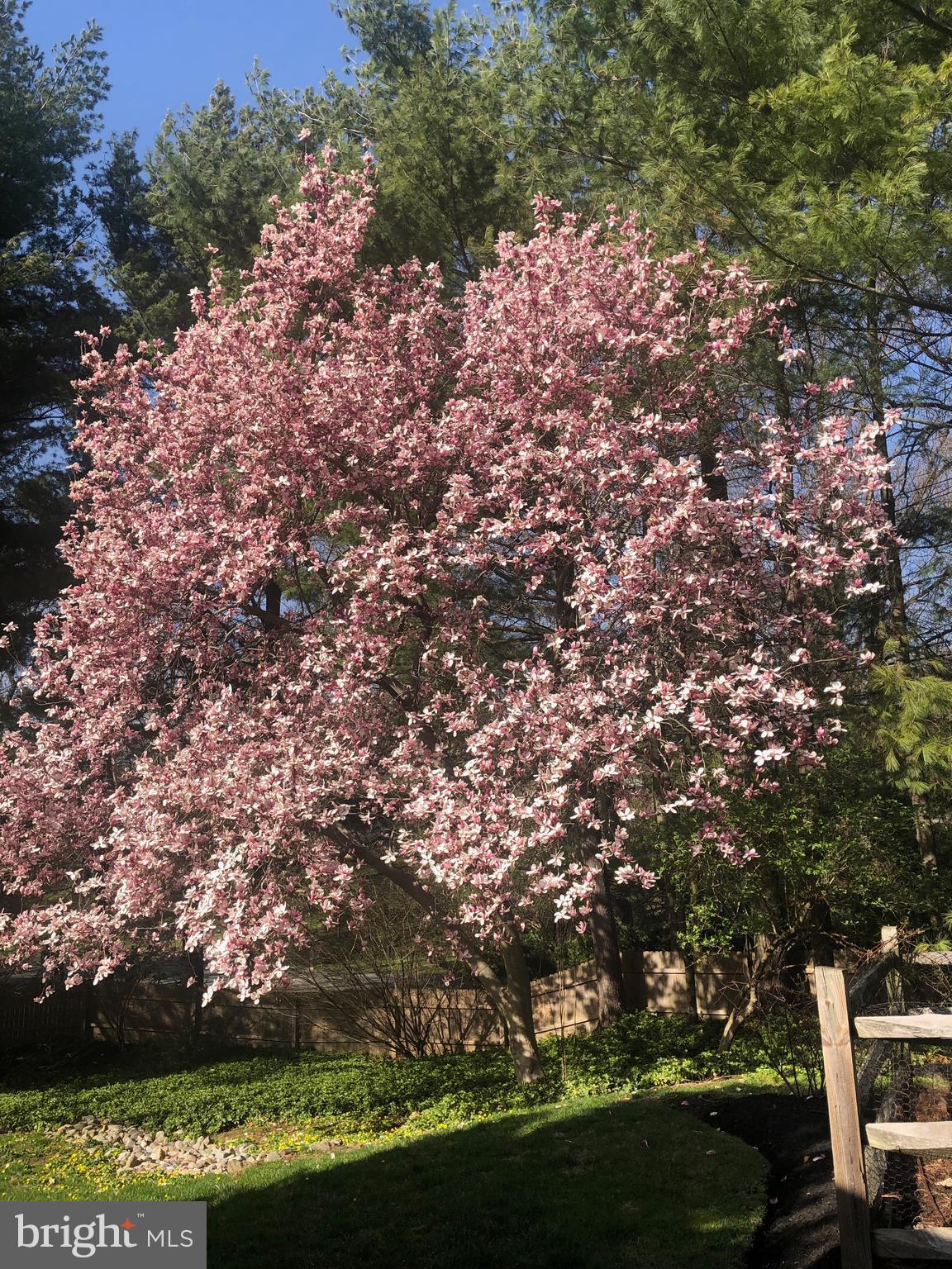 NARBERTH - Residential