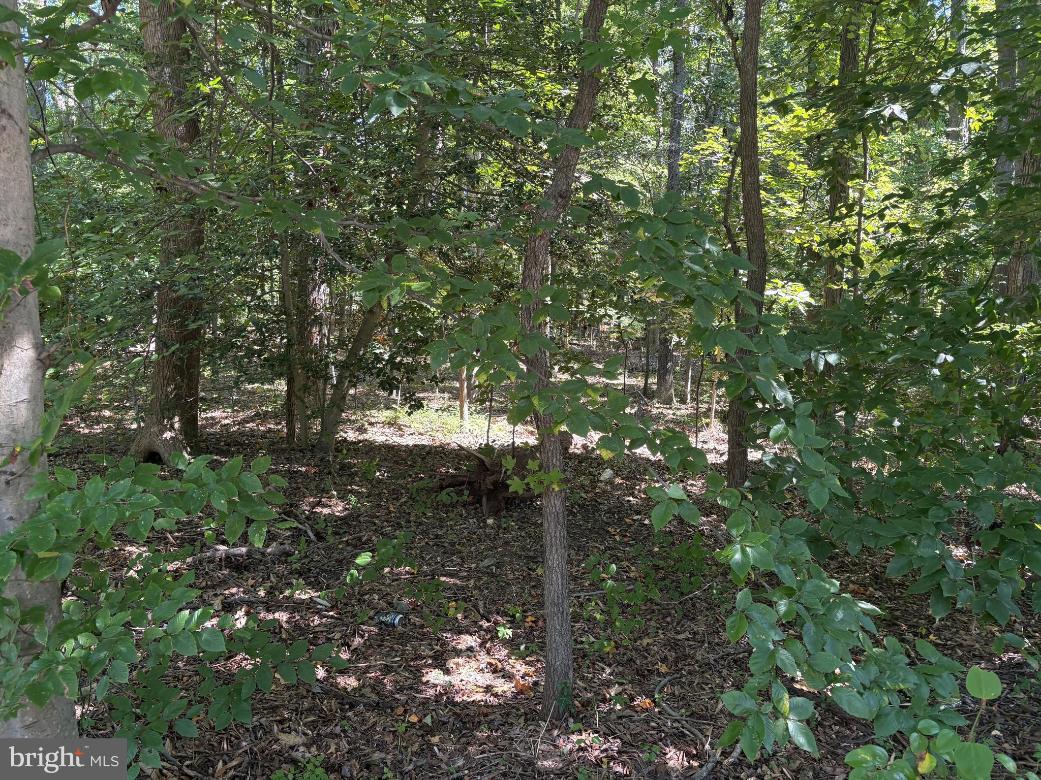 3123 ARUNDEL ON THE BAY ROAD