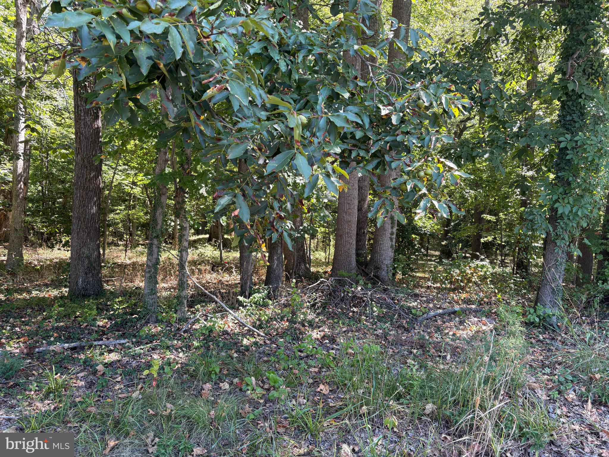 3123 ARUNDEL ON THE BAY ROAD