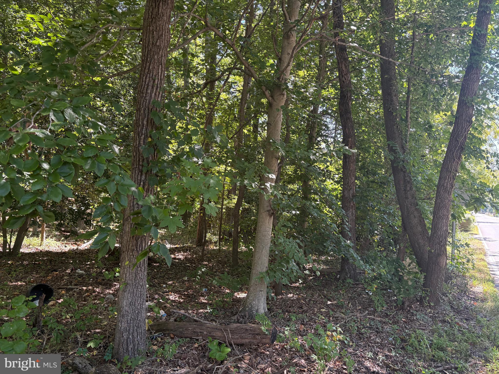 3123 ARUNDEL ON THE BAY ROAD