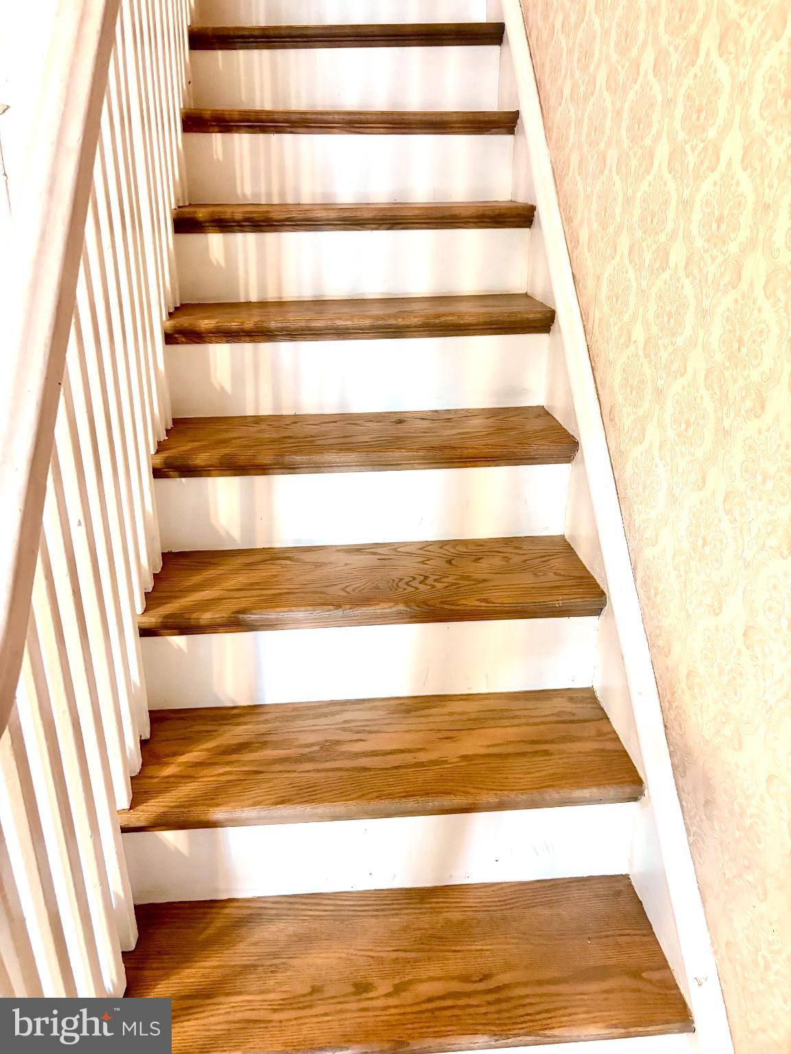 WYNNEFIELD - Residential