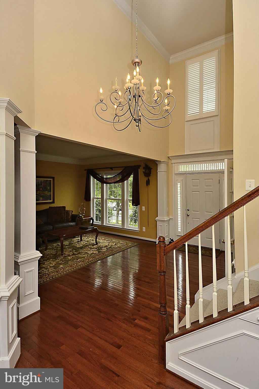 THE RIDINGS AT BLUE SPRING - Residential