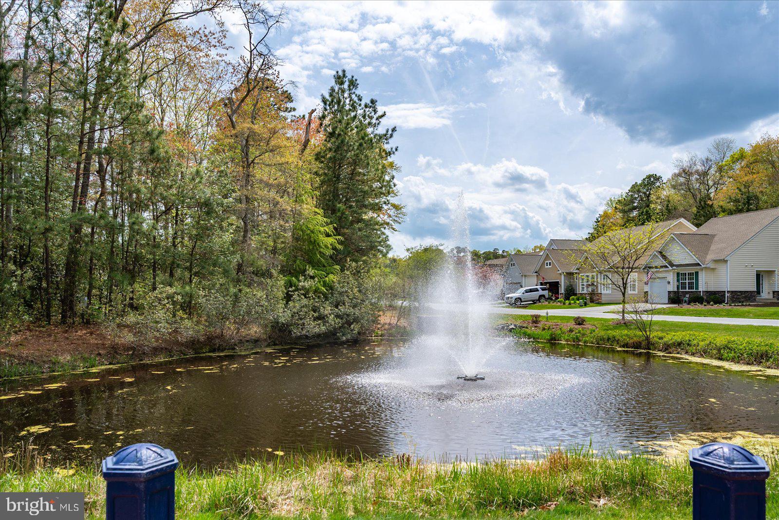 OCEAN PINES - THE PARKE - Residential