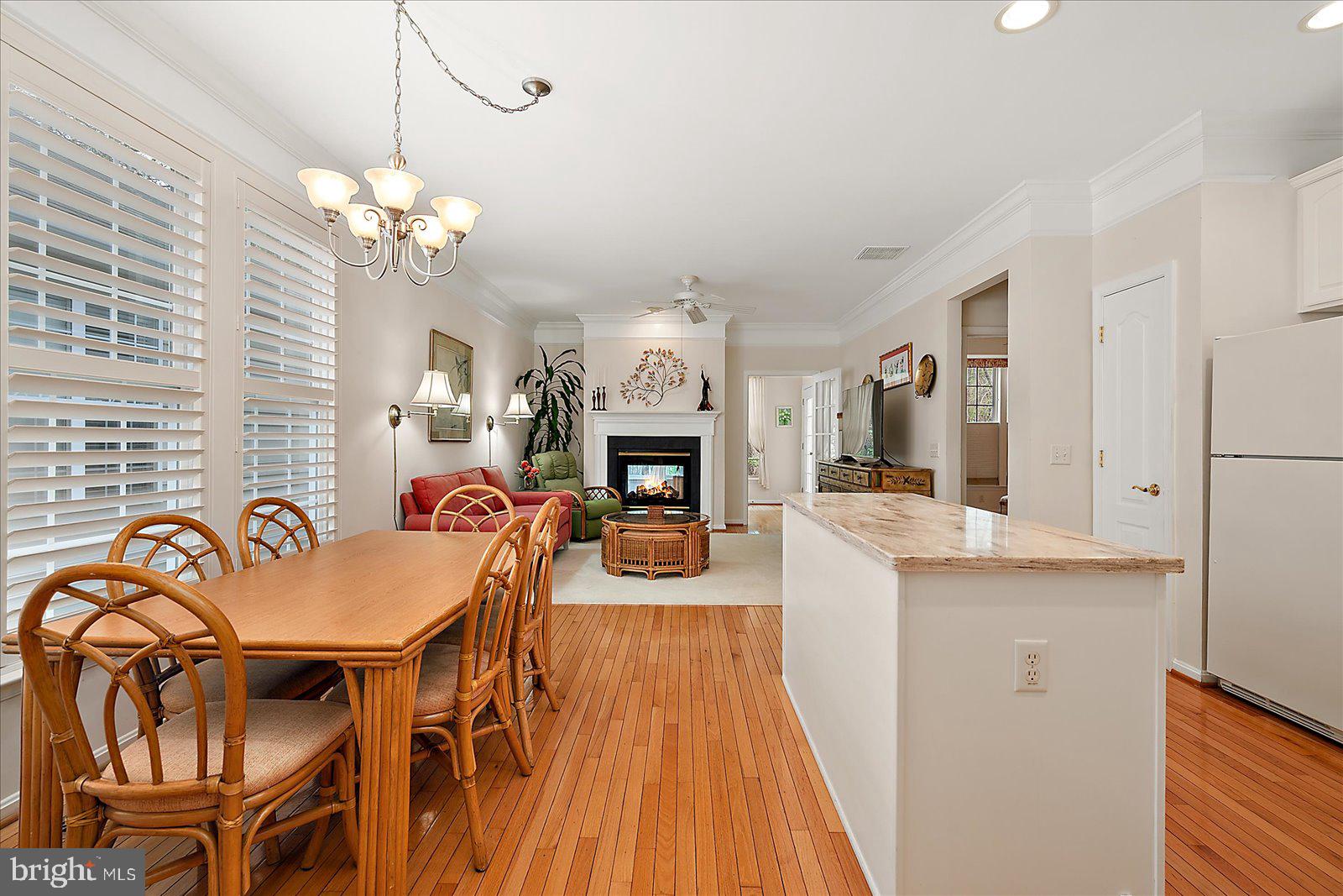 OCEAN PINES - THE PARKE - Residential