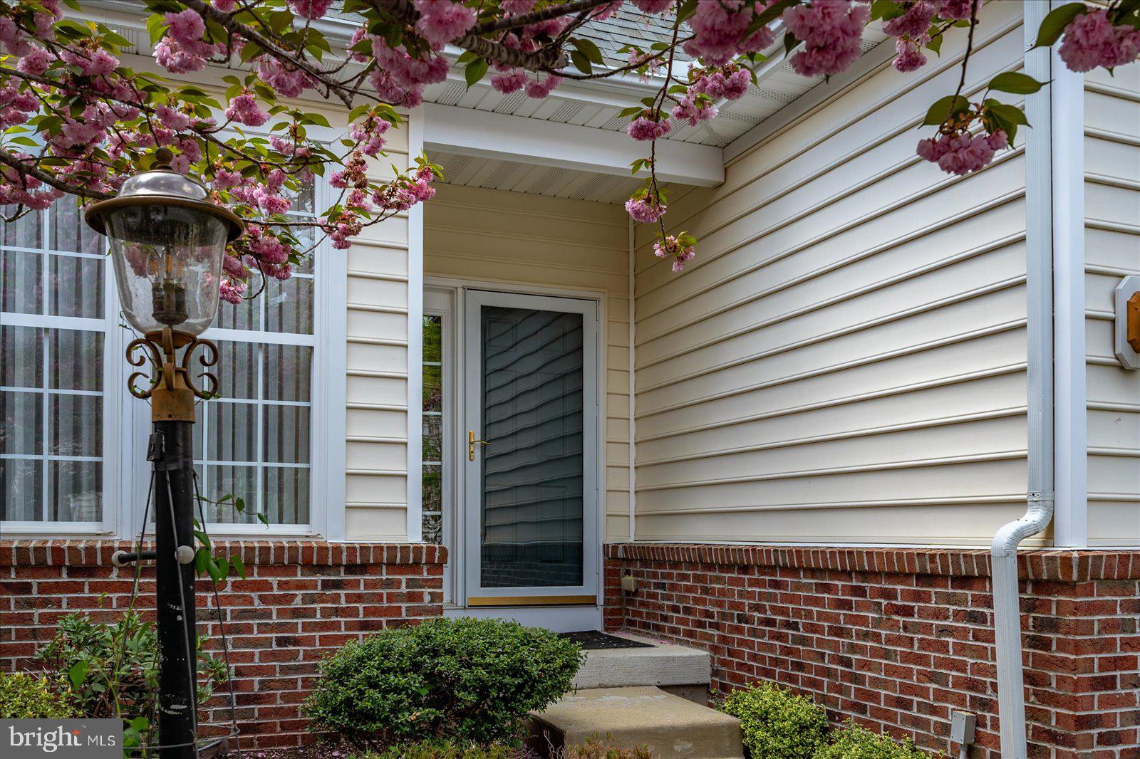 OCEAN PINES - THE PARKE - Residential