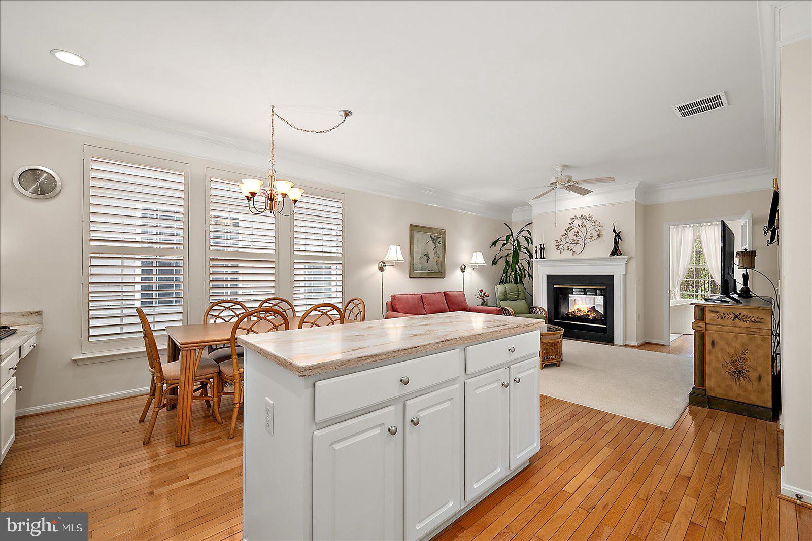 OCEAN PINES - THE PARKE - Residential