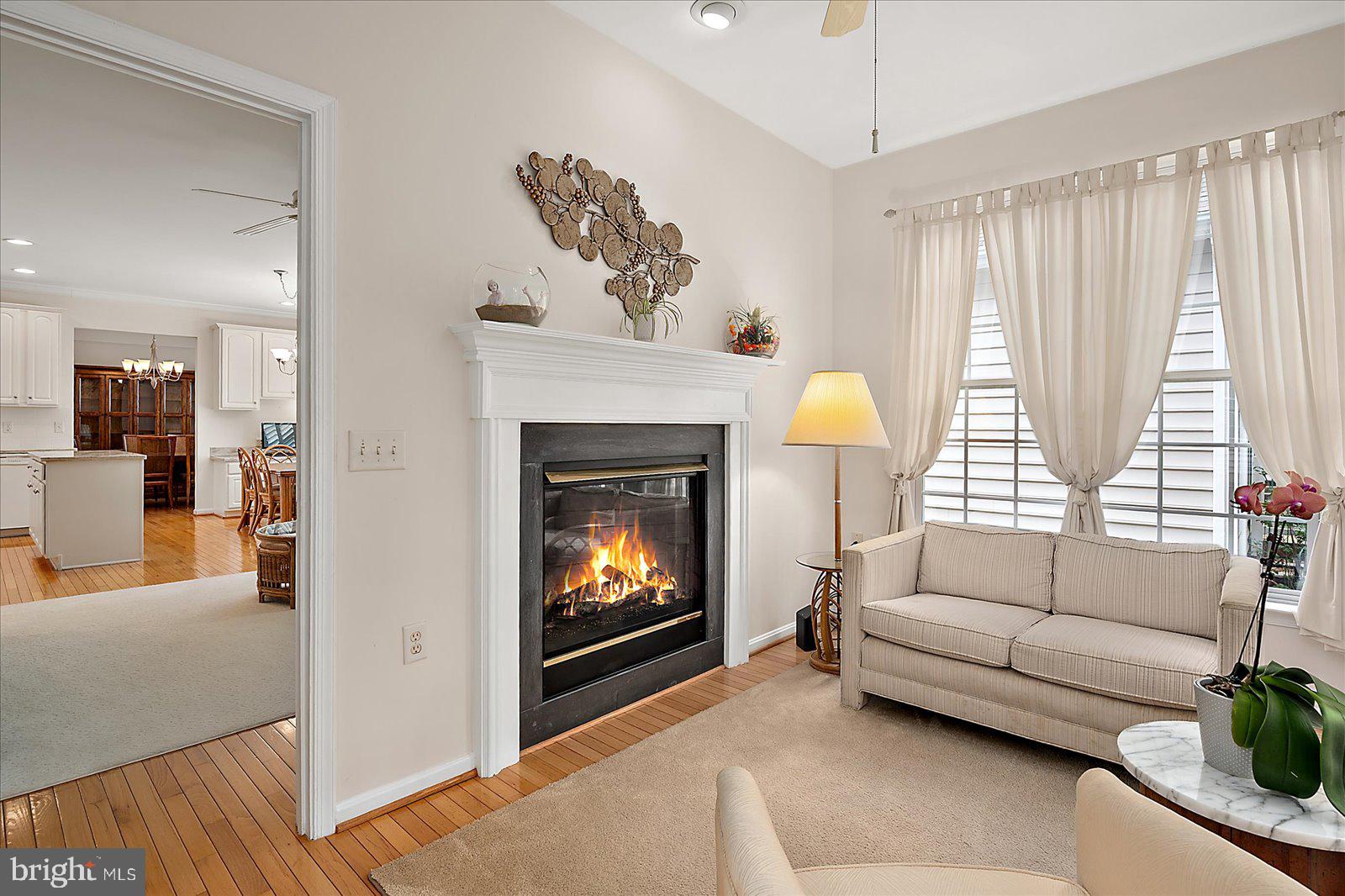 OCEAN PINES - THE PARKE - Residential