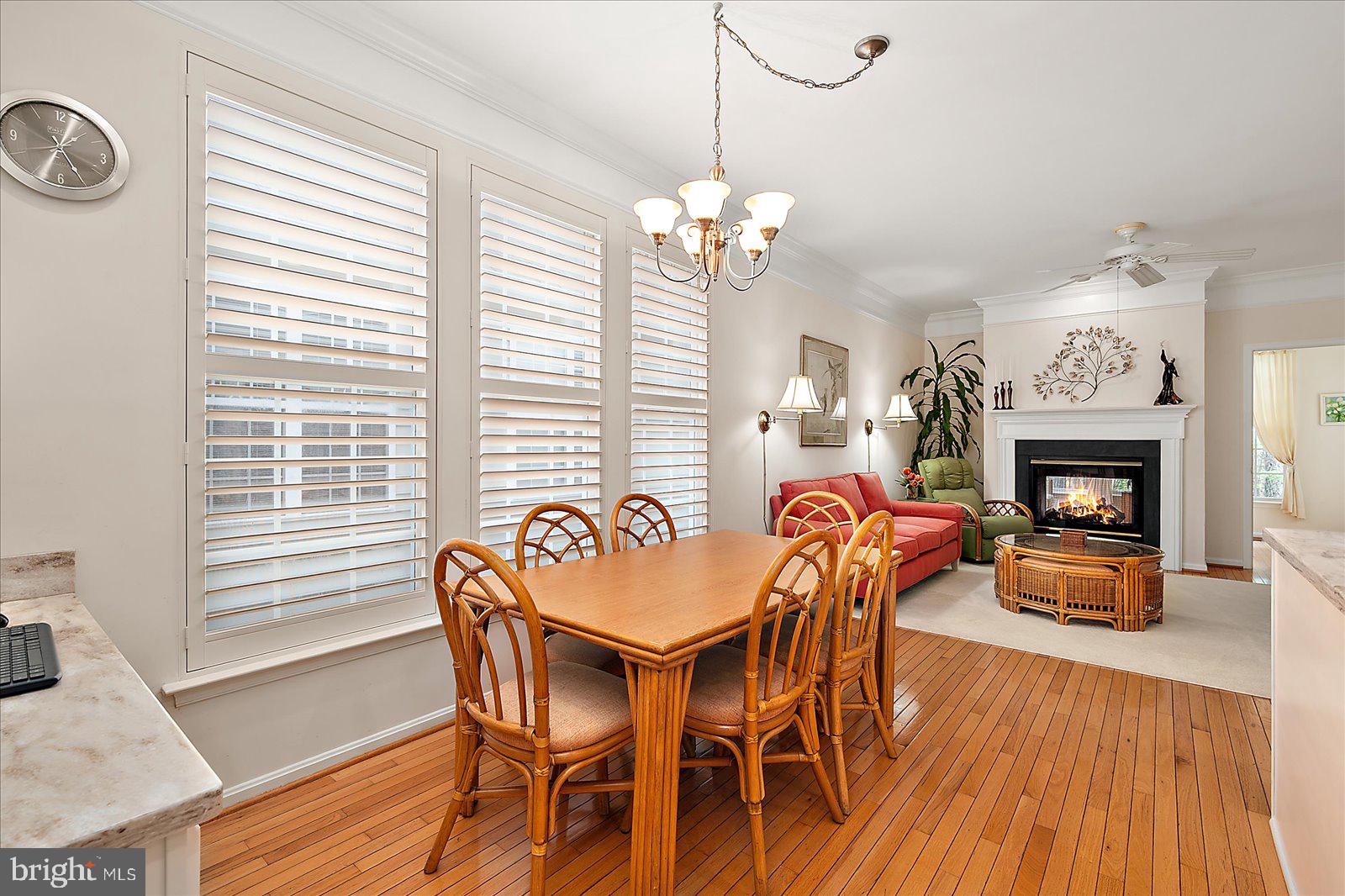 OCEAN PINES - THE PARKE - Residential