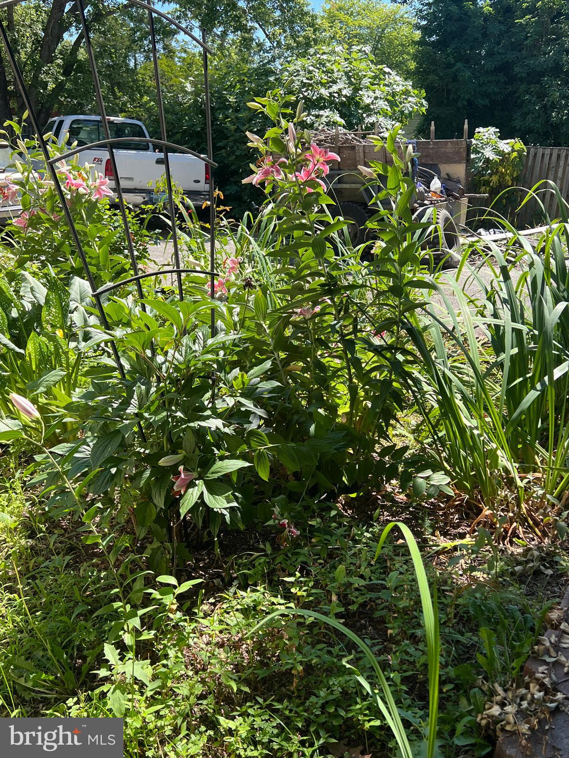 DEALE - Residential Lease